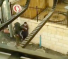 Israeli Forces Assault a Palestinian Child in Hebron, Abduct A Girl, in Jerusalem
