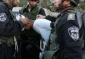 Israeli Forces Abduct Sixteen Palestinians in the West Bank