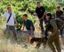 Israeli Colonizers Assault a Palestinian Woman Near Bethlehem