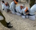 Source: Internal IDF Report Finds Two Gazans Died After Being Beaten en Route to Israeli Prison