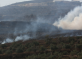 Israeli Colonizers Burn Lands In Bethlehem