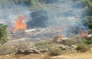 Israeli Colonizers Burn Palestinian Lands In Ramallah