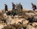 Israeli Colonizers Attack Bedouin Community Near Jericho