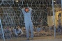 Palestinian Prisoner Dies of Torture in Israeli Detention Camp