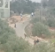 Three Palestinians Shot During Settler Attacks Near Nablus and Ramallah