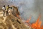 Israeli Colonizers Attack Palestinians, Burn Lands, Establish Outpost