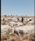 BREAKING: Israeli settlers are attacking Palestinian homes in the village of Mazi Jaba