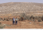 Israeli army, settlers unite in collective punishment of Al-Mughayyir