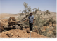 Israeli army, settlers unite in collective punishment of Al-Mughayyir