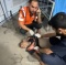 Day 725 Update: Israeli Forces Kill 64, Including 20 Aid Seekers, In Gaza