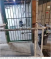 'I Was Shackled the Whole Time' Mass Arrests With Nowhere to Hold Them