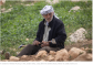 Settler attack on Palestinian hamlet included brutal sexual assault &mdash; report