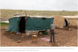 Settler attack on Palestinian hamlet included brutal sexual assault &mdash; report