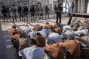 UN Expert: Israeli Torture Practices Against Palestinians Amount to Genocide
