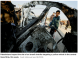 Gaza Aid Reduced by 80 Percent Since Start of Iran War as Food Prices Surge