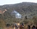 Commission Documents 409 Israeli Attacks During Olive Harvest